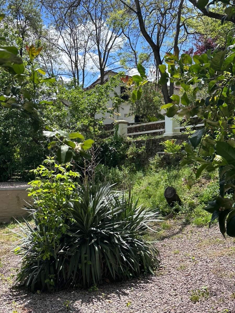 6 bedroom Villa for sale in Aracena with pool garage - € 875,000 (Ref: 9755324)