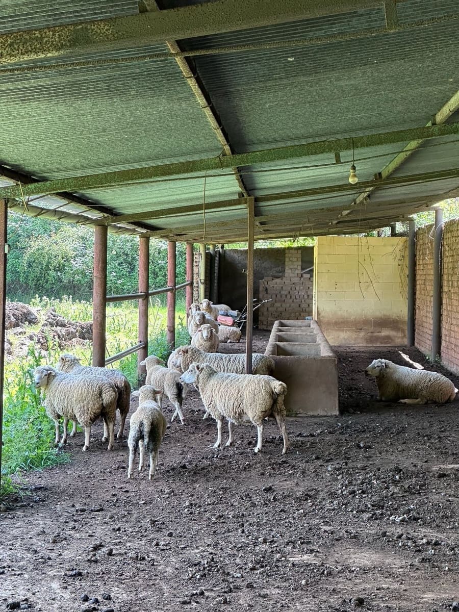 6 bedroom Villa for sale in Aracena with pool garage - € 875,000 (Ref: 9755324)