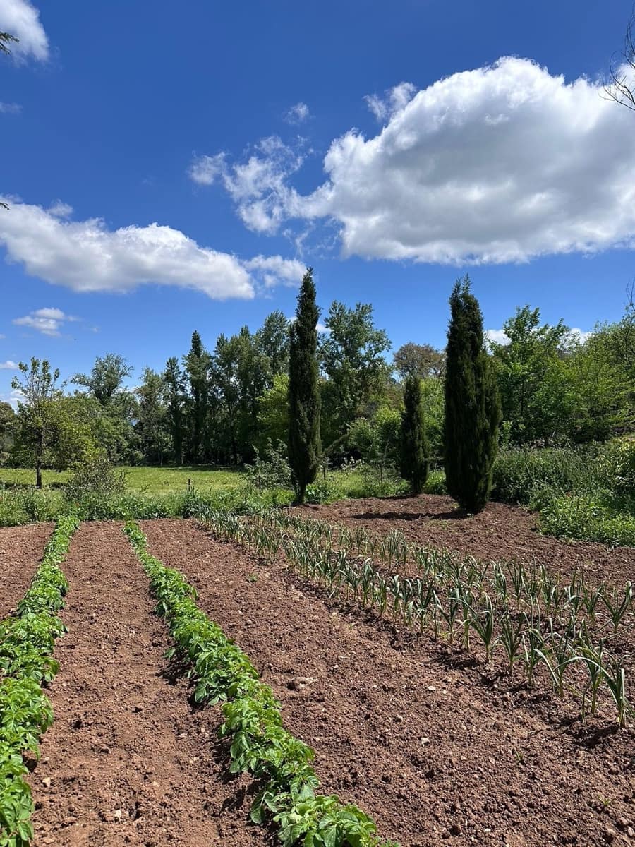 6 bedroom Villa for sale in Aracena with pool garage - € 875,000 (Ref: 9755324)