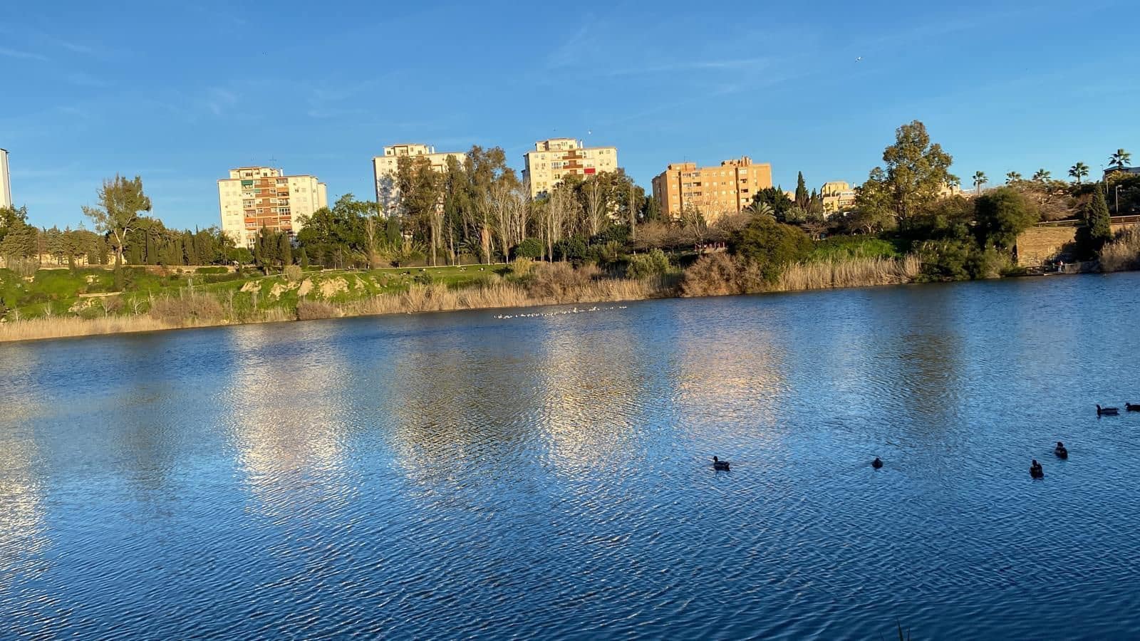 3 bedroom Flat for sale in Malaga city - € 621,900 (Ref: 9830637)