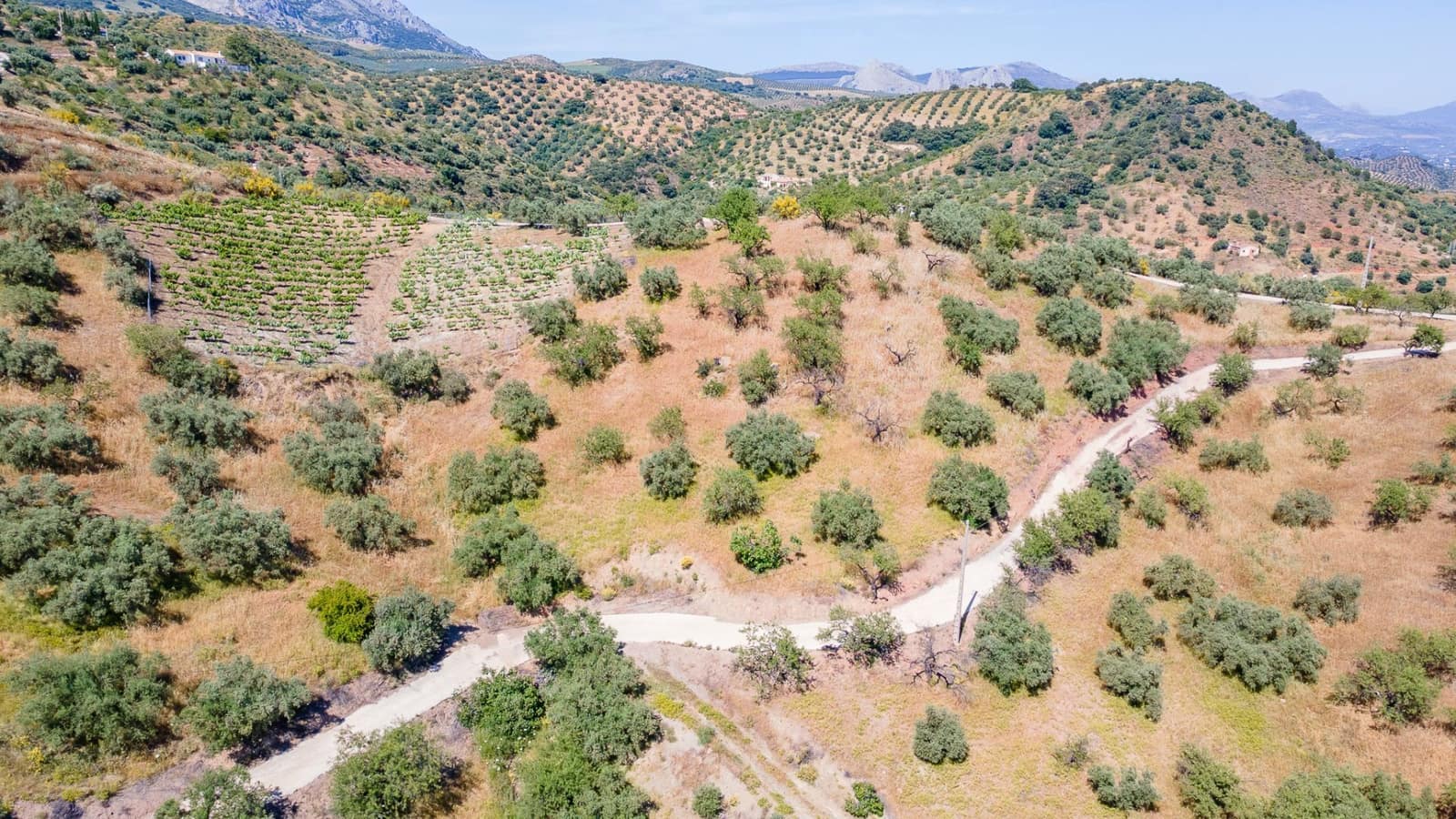 Finca/Casa Rural de 6 habitaciones en Colmenar en venta con garaje - 395.000 € (Ref: 9893691)