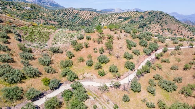 Finca/Casa Rural de 6 habitaciones en Colmenar en venta con garaje - 395.000 € (Ref: 9893691)