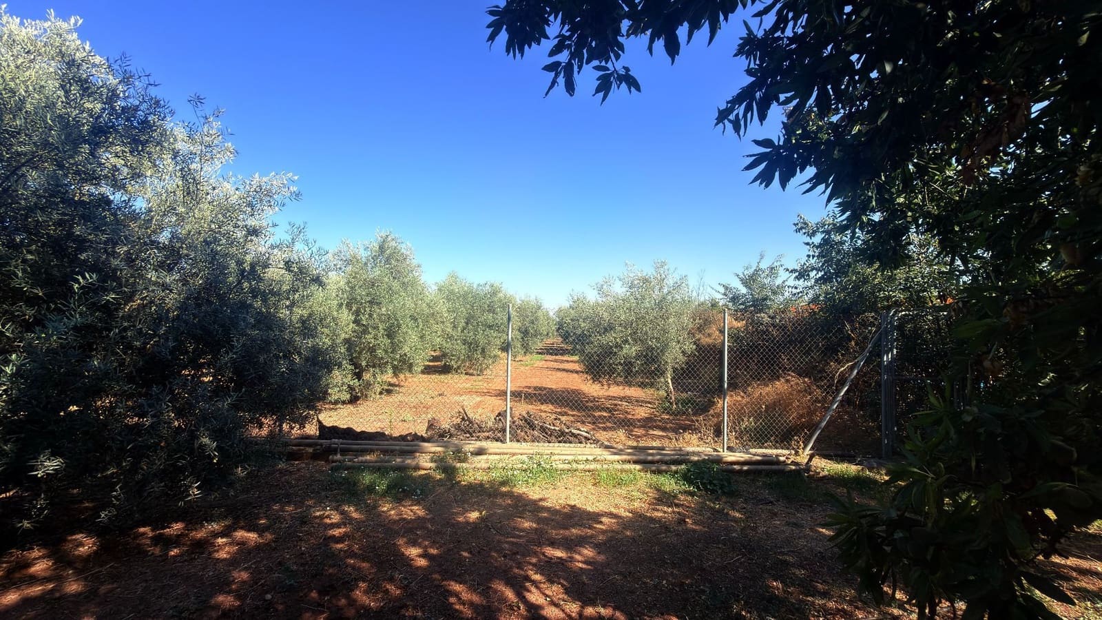 6 slaapkamer Finca/Landhuis te koop in Antequera met zwembad garage - € 500.000 (Ref: 9956743)