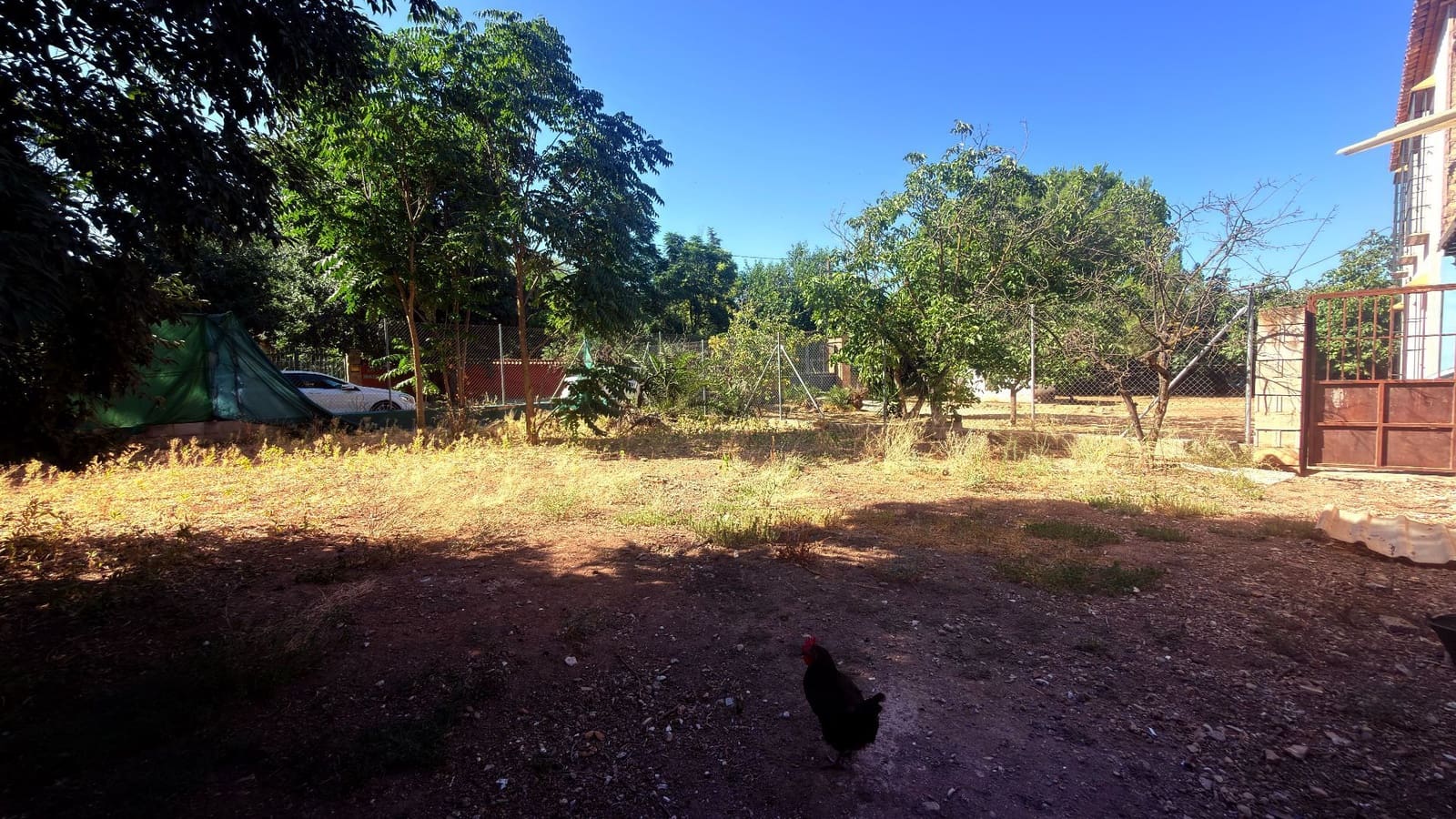 6 slaapkamer Finca/Landhuis te koop in Antequera met zwembad garage - € 500.000 (Ref: 9956743)