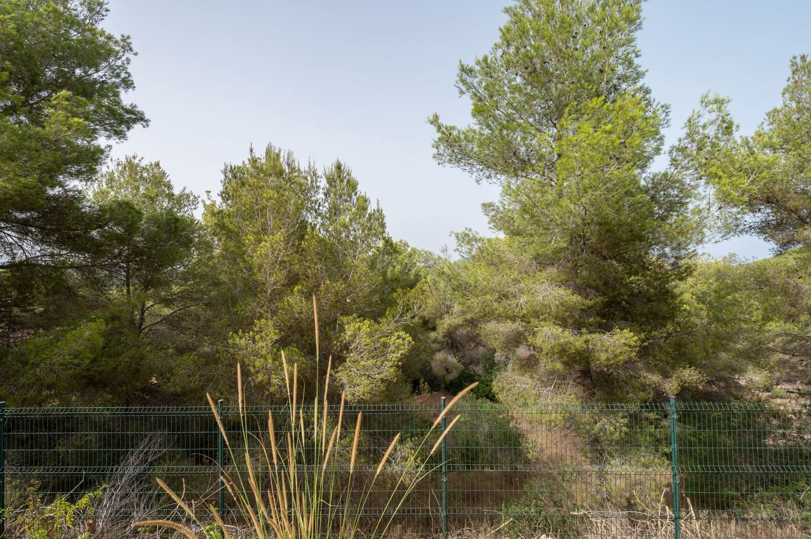 3 bedroom Semi-detached Villa for sale in Ibiza / Eivissa town - € 750,000 (Ref: 9966111)