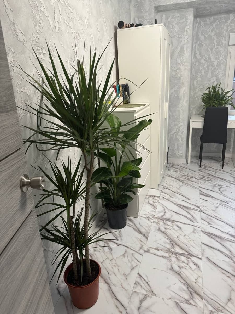 5 Zimmer Apartment zu verkaufen in Valencia Stadt - 205.000 € (Ref: 9834190)