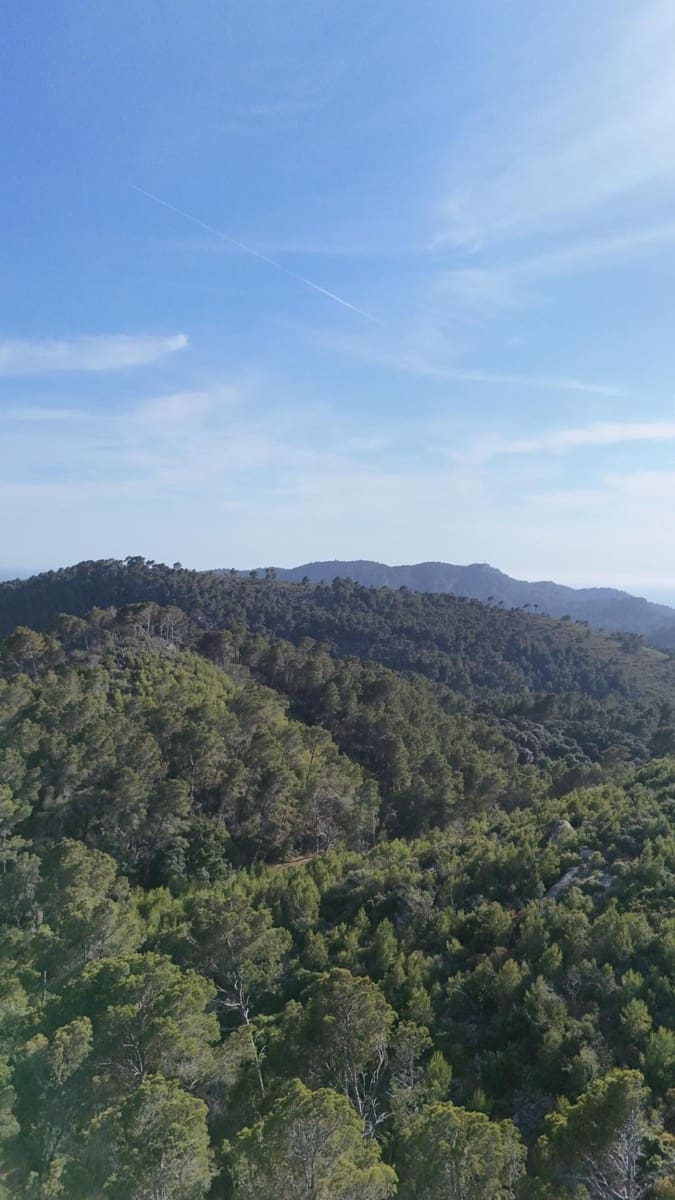 Grunde uden byggetilladelser til salg i Andratx - € 83.000 (Ref: 9109066)