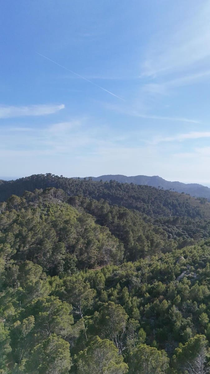 Grunde uden byggetilladelser til salg i Andratx - € 83.000 (Ref: 9109066)