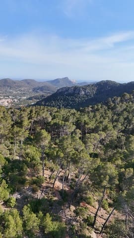 Undeveloped Land for sale in Puerto de Andratx, Andratx - € 83,000 (Ref: 9109066)