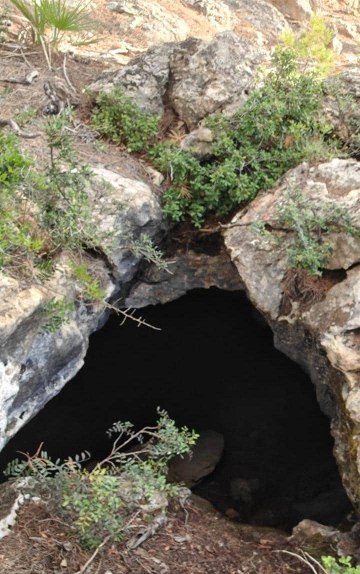 Grunde uden byggetilladelser til salg i Andratx - € 83.000 (Ref: 9109066)