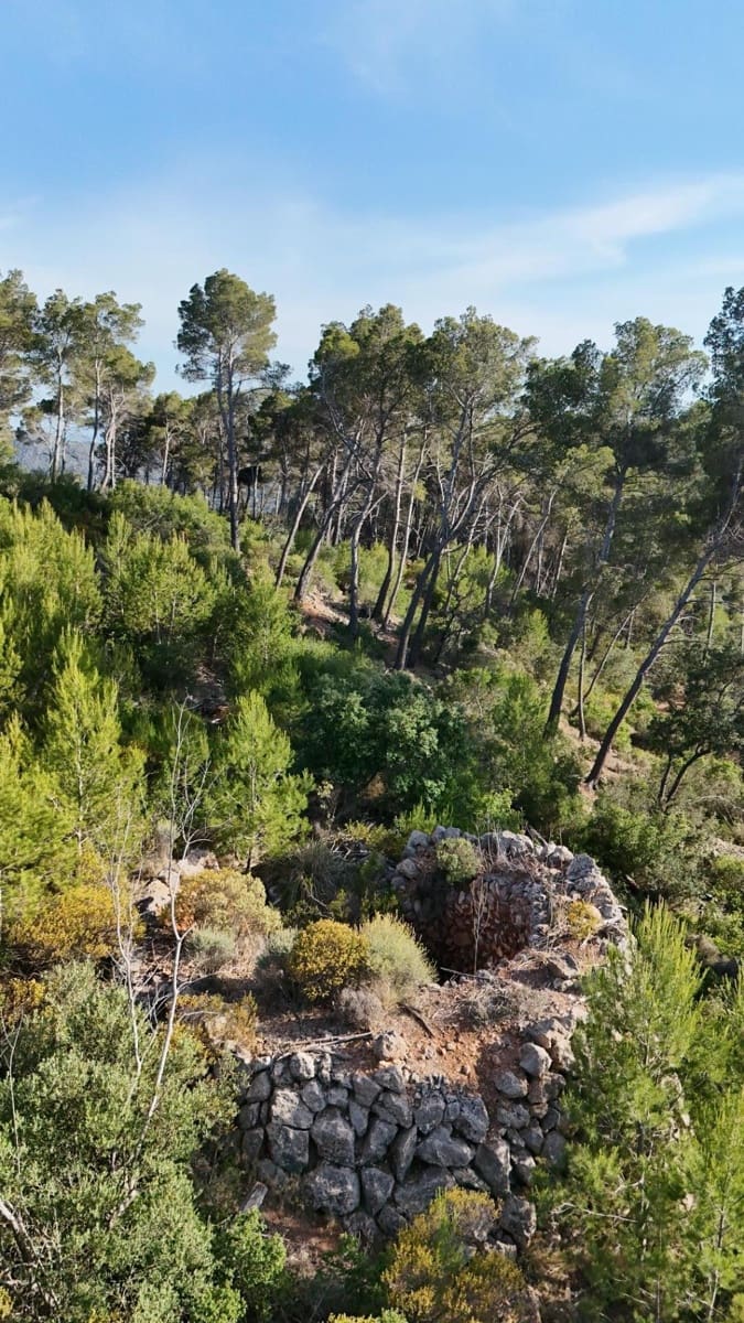 Grunde uden byggetilladelser til salg i Andratx - € 83.000 (Ref: 9109066)