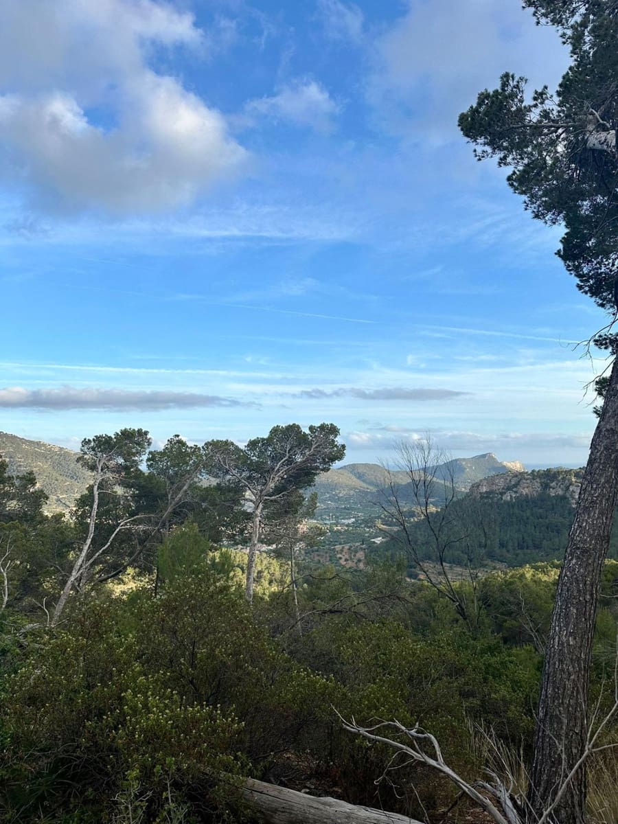 Grunde uden byggetilladelser til salg i Andratx - € 83.000 (Ref: 9109066)