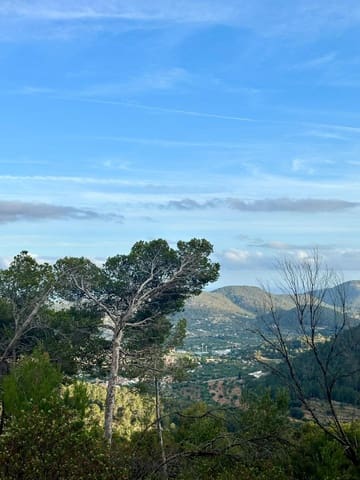 Undeveloped Land for sale in Puerto de Andratx, Andratx - € 83,000 (Ref: 9109066)