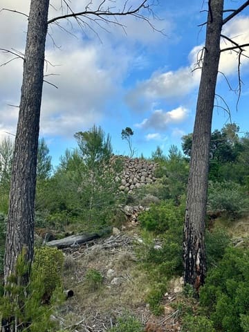 Undeveloped Land for sale in Puerto de Andratx, Andratx - € 83,000 (Ref: 9109066)