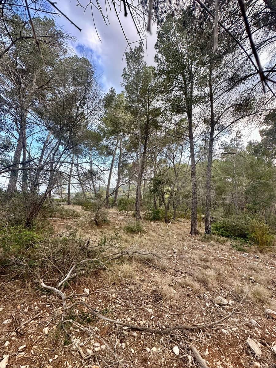 Grunde uden byggetilladelser til salg i Andratx - € 83.000 (Ref: 9109066)