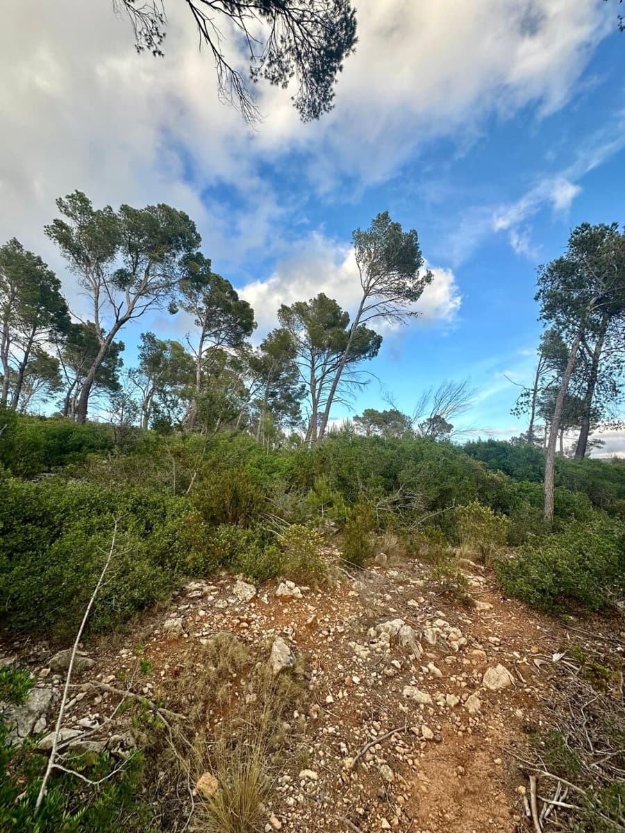 Grunde uden byggetilladelser til salg i Andratx - € 83.000 (Ref: 9109066)