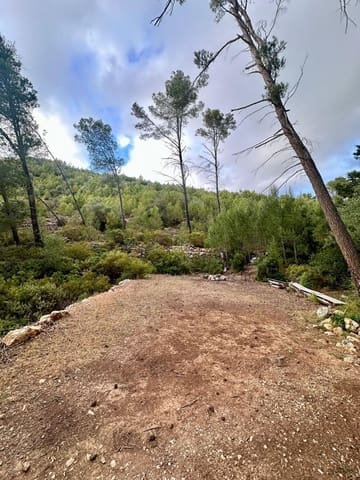 Undeveloped Land for sale in Puerto de Andratx, Andratx - € 83,000 (Ref: 9109066)