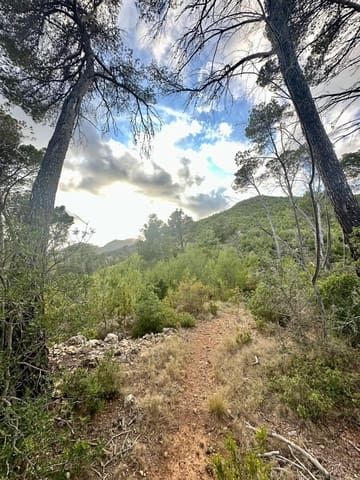 Undeveloped Land for sale in Puerto de Andratx, Andratx - € 83,000 (Ref: 9109066)