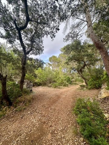 Undeveloped Land for sale in Puerto de Andratx, Andratx - € 83,000 (Ref: 9109066)