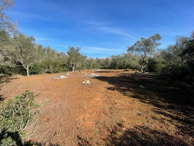 Tomt till salu i Felanitx - 790 000 € (Ref: 9109074)