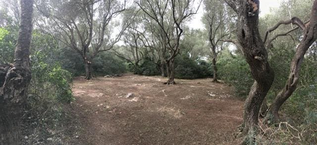 Building Plot for sale in Felanitx - € 790,000 (Ref: 9109074)