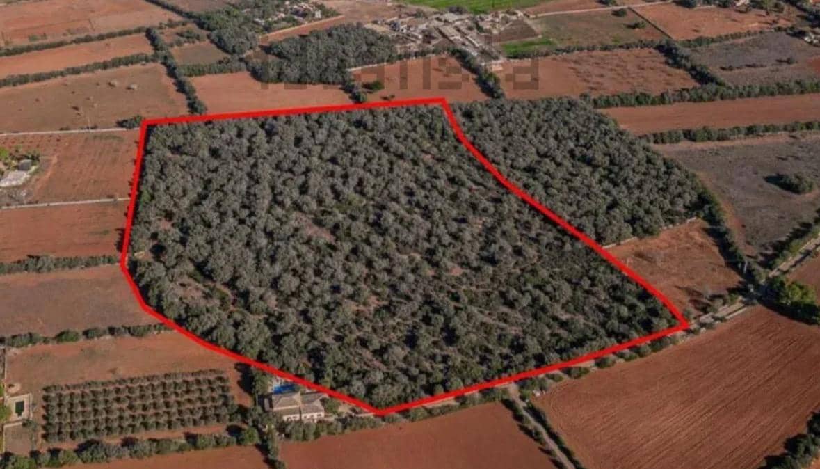 Tomt till salu i Felanitx - 790 000 € (Ref: 9109074)