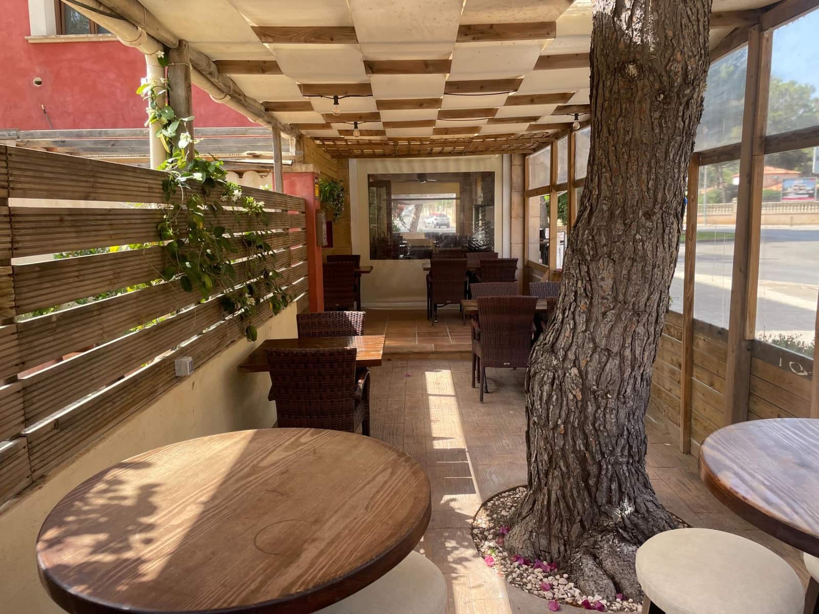 3 soverom Kommersiell til salgs i El Toro / Port Adriano - € 1 650 000 (Ref: 9109077)