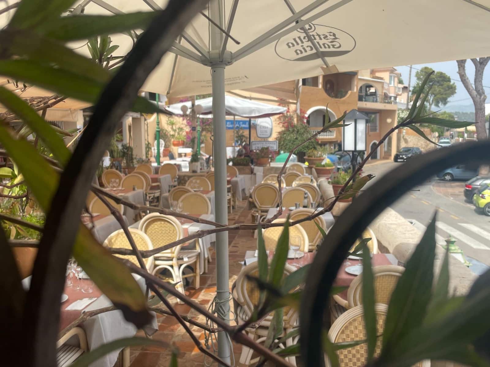 Virksomhed til salg i Peguera / Paguera - € 950.000 (Ref: 9109078)