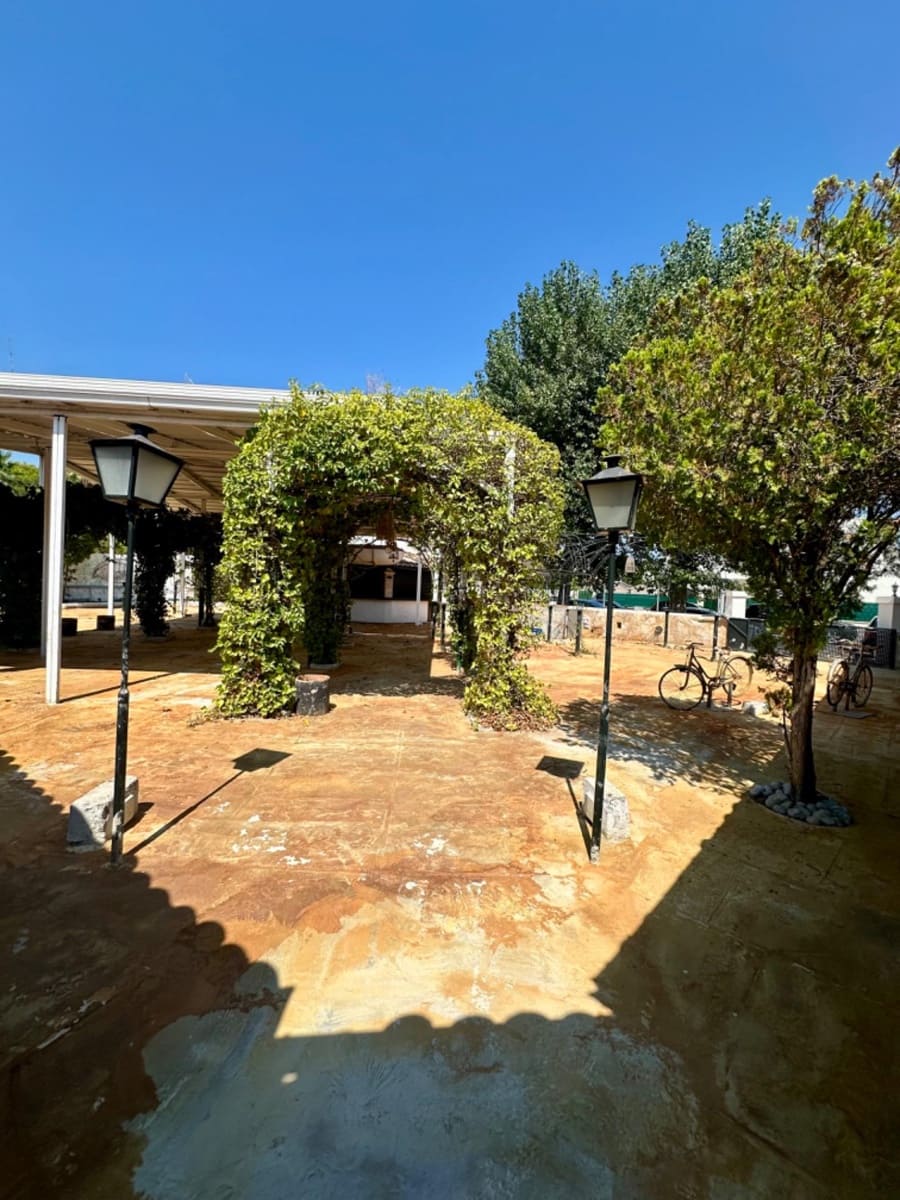 Kommersiell til leie i Puerto de Alcudia - € 5 500 (Ref: 9165731)