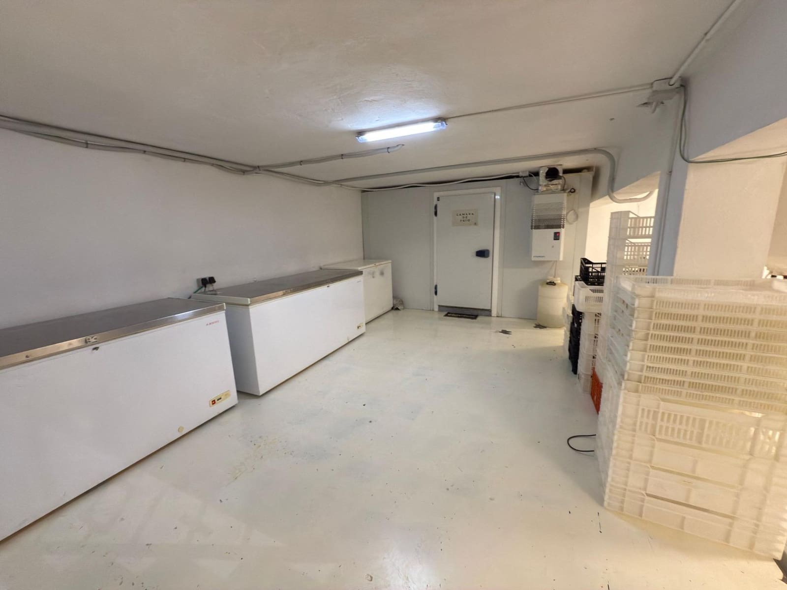 Yritys vuokrattavana paikassa Palma de Mallorca - 3 600 € (Ref: 9173423)