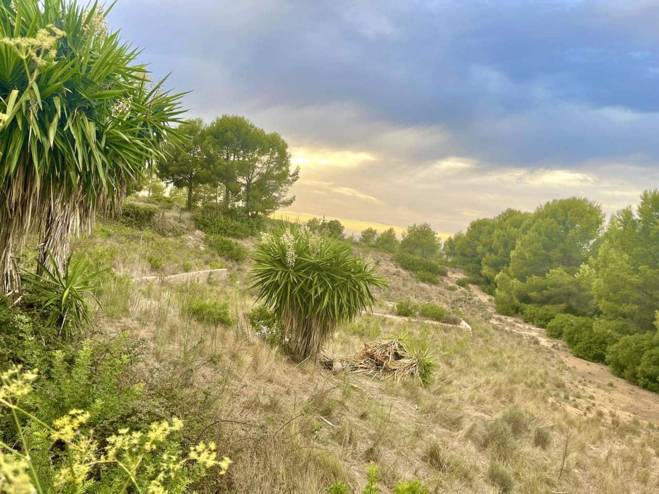 Mark till salu i Salou - 892 000 € (Ref: 10048595)