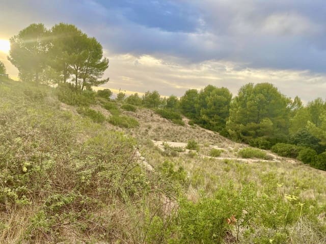Undeveloped Land for sale in Salou - € 892,000 (Ref: 10048595)