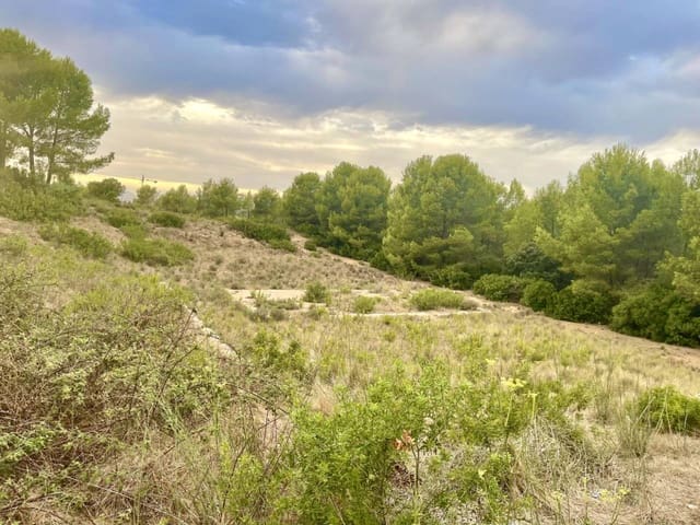 Undeveloped Land for sale in Salou - € 892,000 (Ref: 10048595)