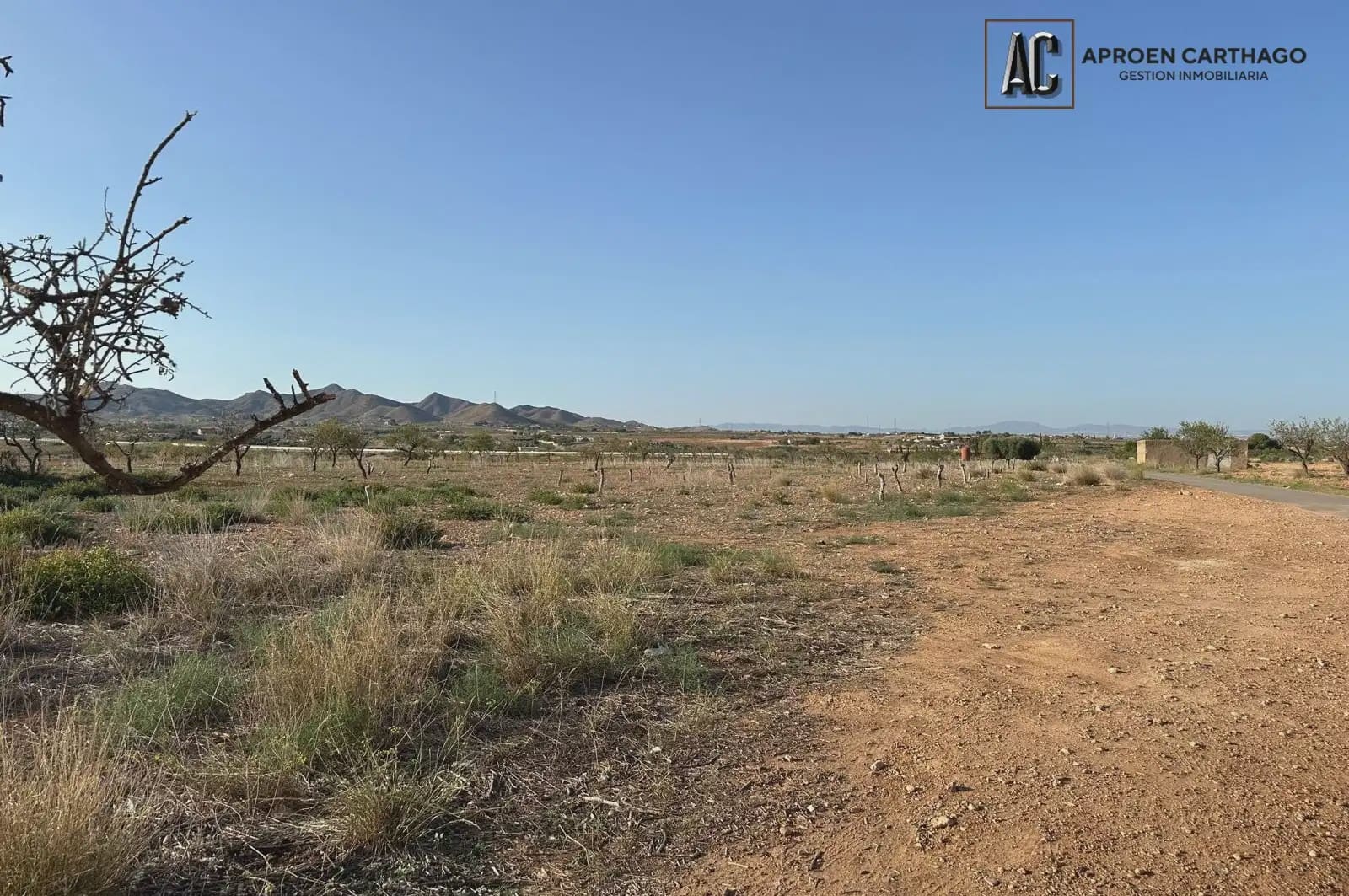 Undeveloped Land for sale in Cuesta Blanca - € 95,000 (Ref: 9843848)