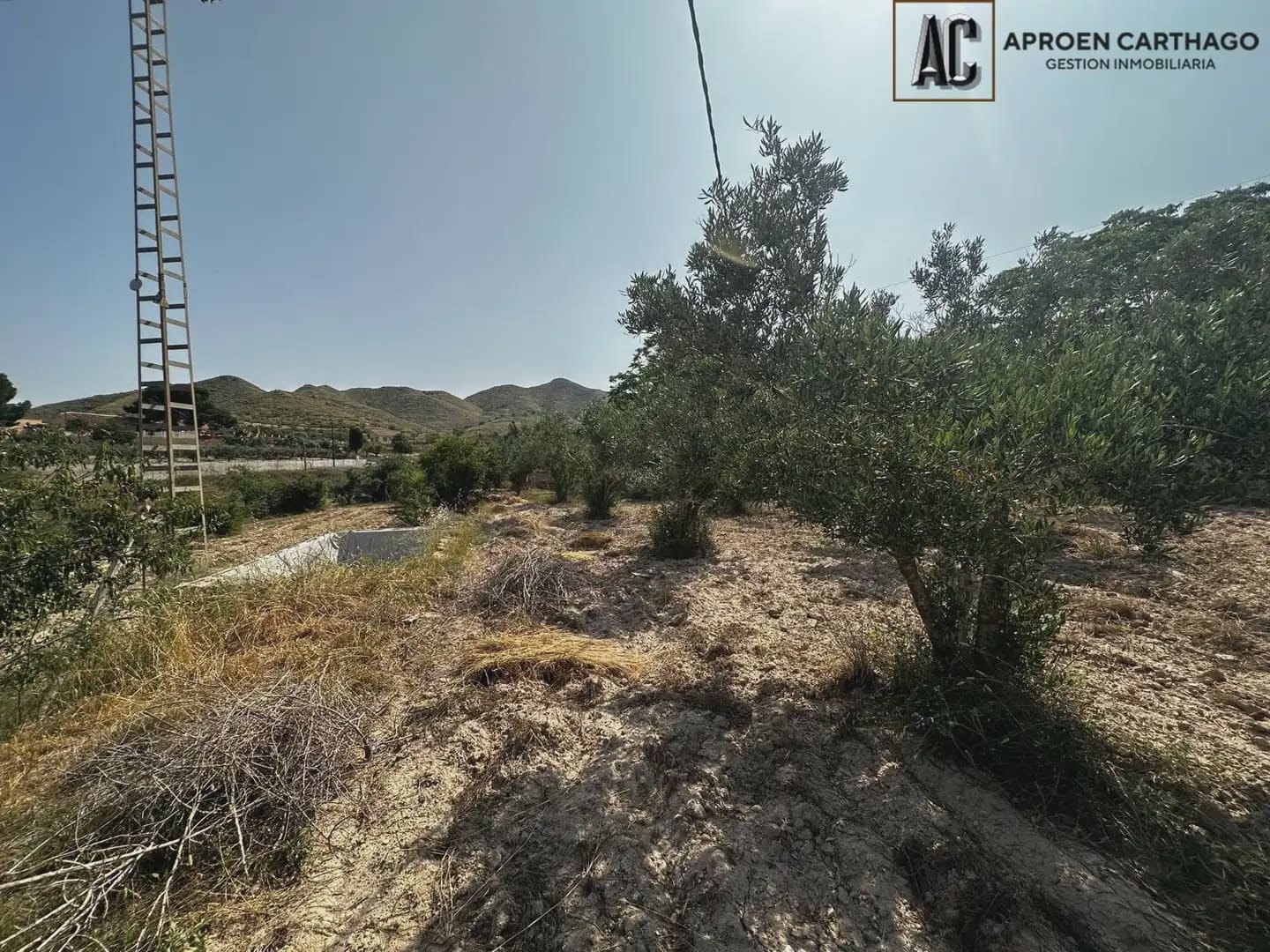 5 quarto Quinta/Casa Rural para venda em Tallante - 311 000 € (Ref: 9843851)