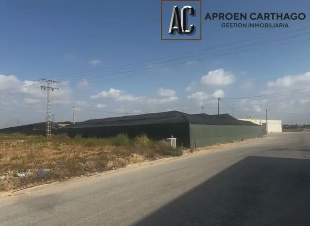 Quinta/Casa Rural para arrendar em Torre-Pacheco - 3 000 € (Ref: 9843855)
