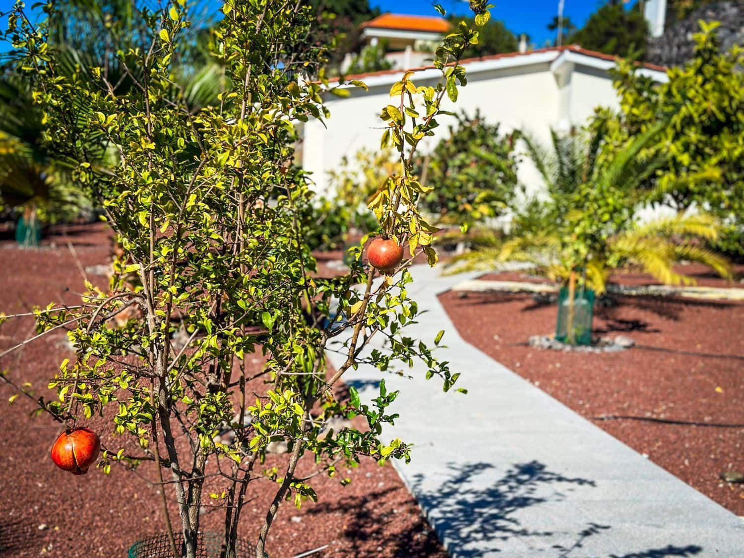 3 makuuhuone Huvila myytävänä paikassa Guia de Isora mukana uima-altaan - 1 320 000 € (Ref: 9482382)