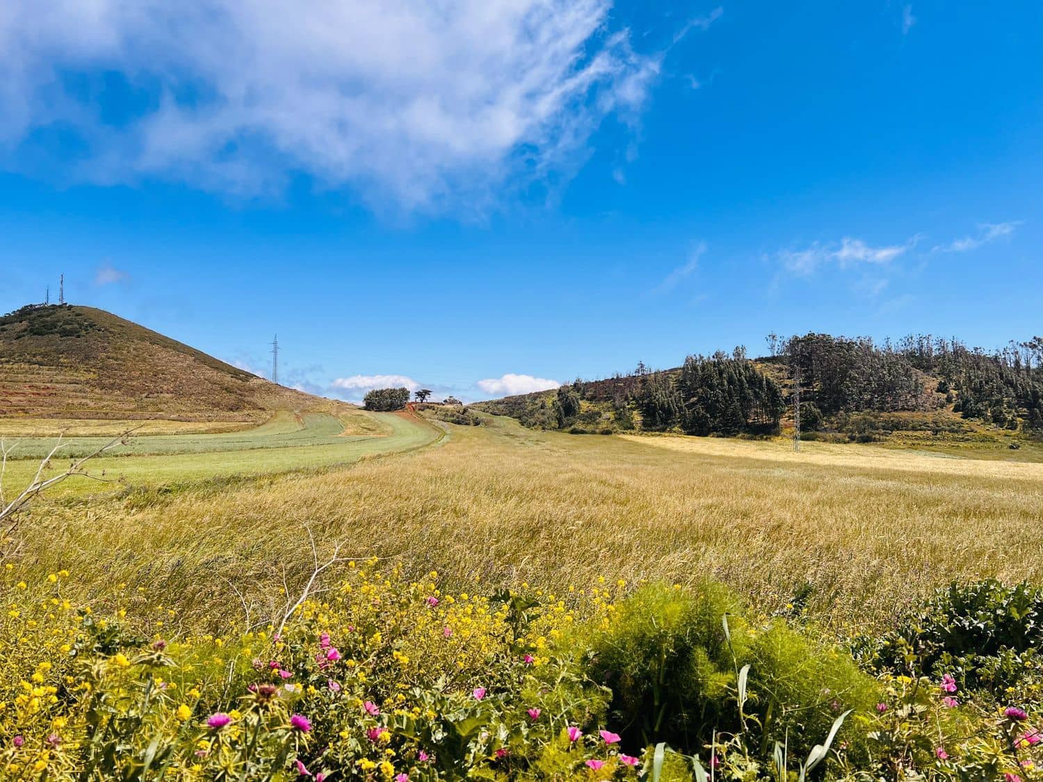 Undeveloped Land for sale in El Rosario - € 95,000 (Ref: 9482384)