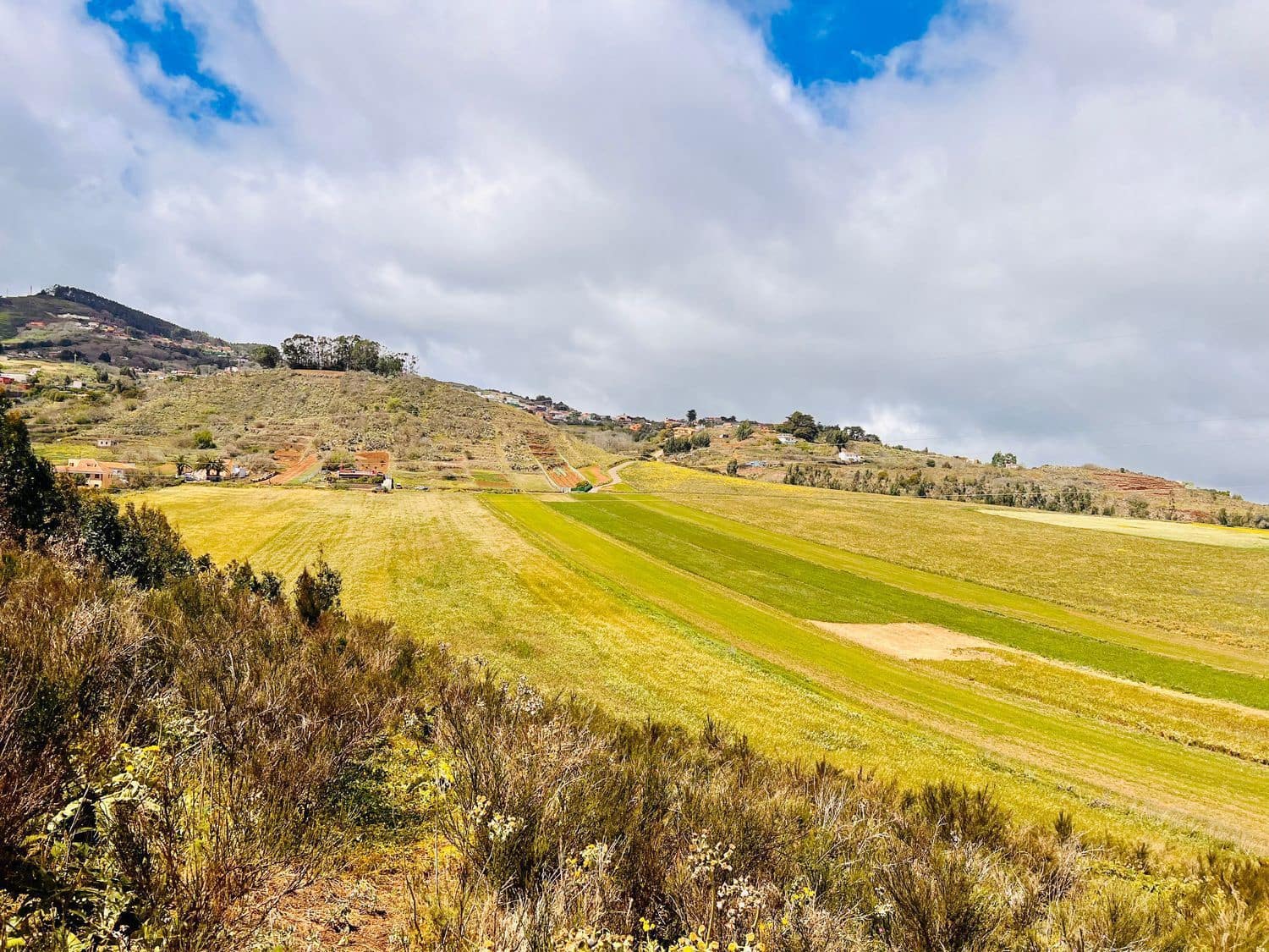 Undeveloped Land for sale in El Rosario - € 95,000 (Ref: 9482384)