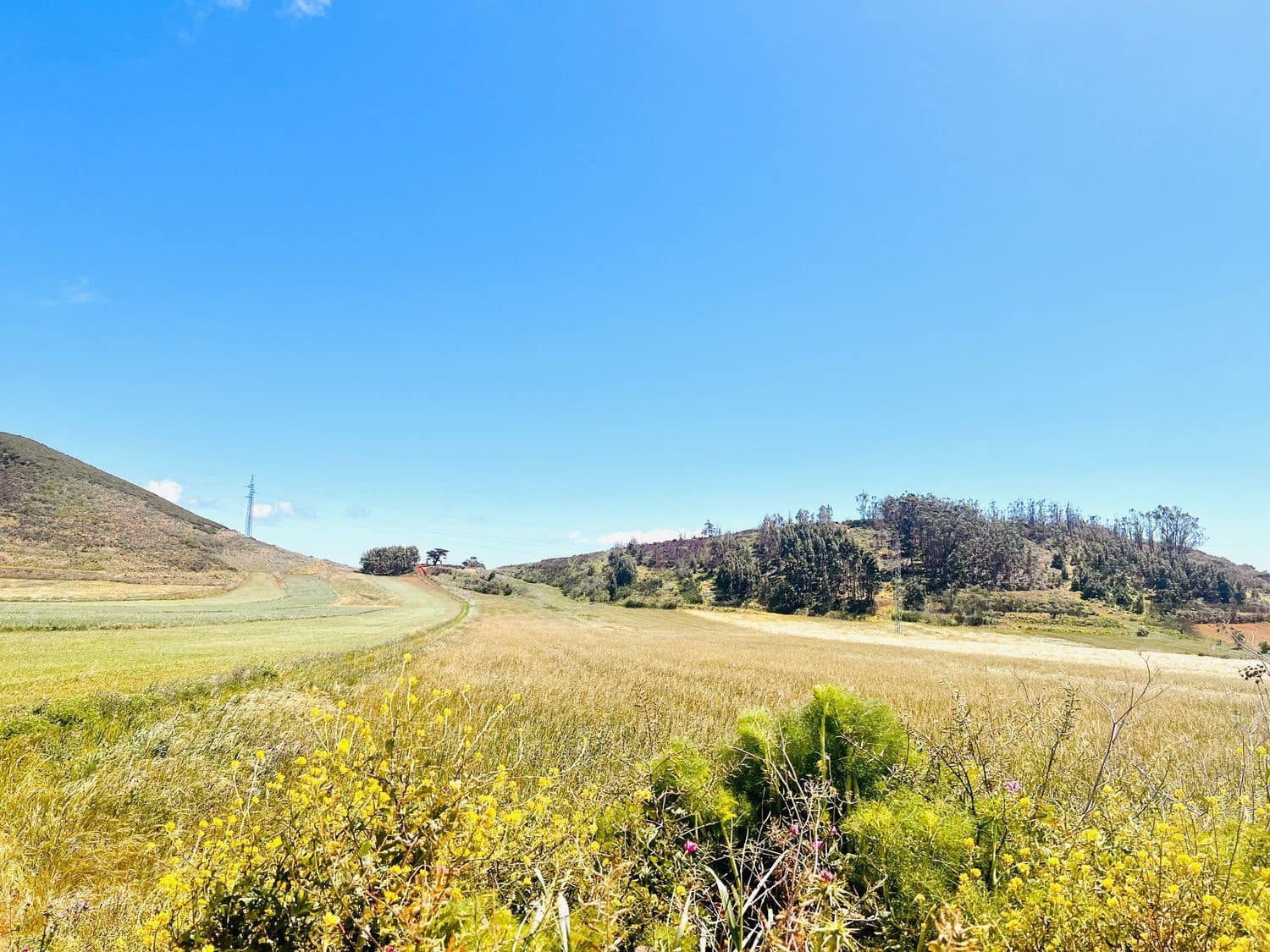 Undeveloped Land for sale in El Rosario - € 95,000 (Ref: 9482384)