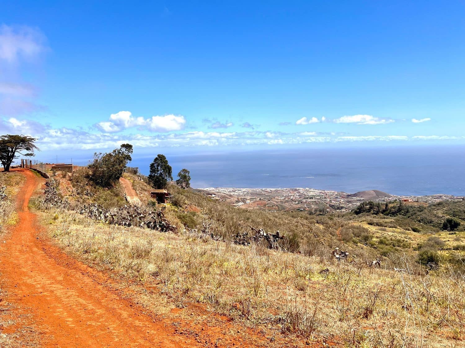 Undeveloped Land for sale in El Rosario - € 95,000 (Ref: 9482384)