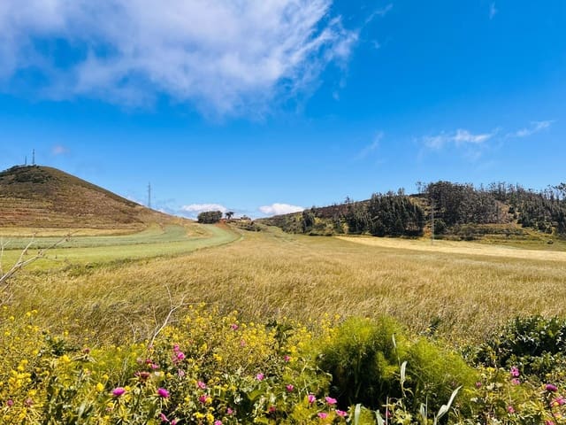 Rakentamaton maa myytävänä paikassa El Rosario - 95 000 € (Ref: 9482384)