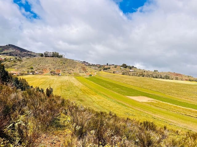 Rakentamaton maa myytävänä paikassa El Rosario - 95 000 € (Ref: 9482384)