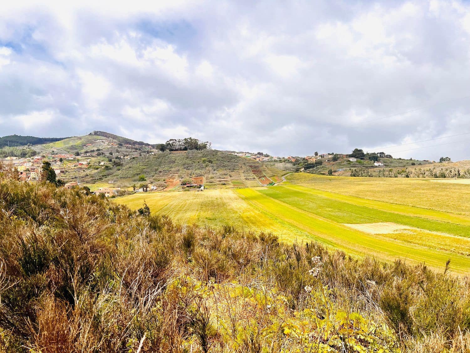 Undeveloped Land for sale in El Rosario - € 95,000 (Ref: 9482384)