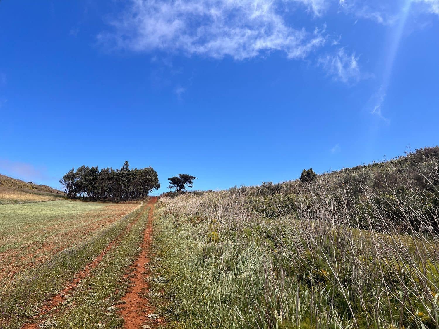 Undeveloped Land for sale in El Rosario - € 95,000 (Ref: 9482384)