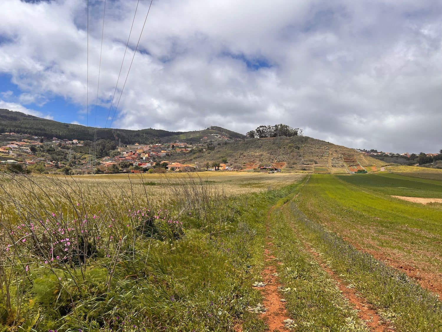 Undeveloped Land for sale in El Rosario - € 95,000 (Ref: 9482384)