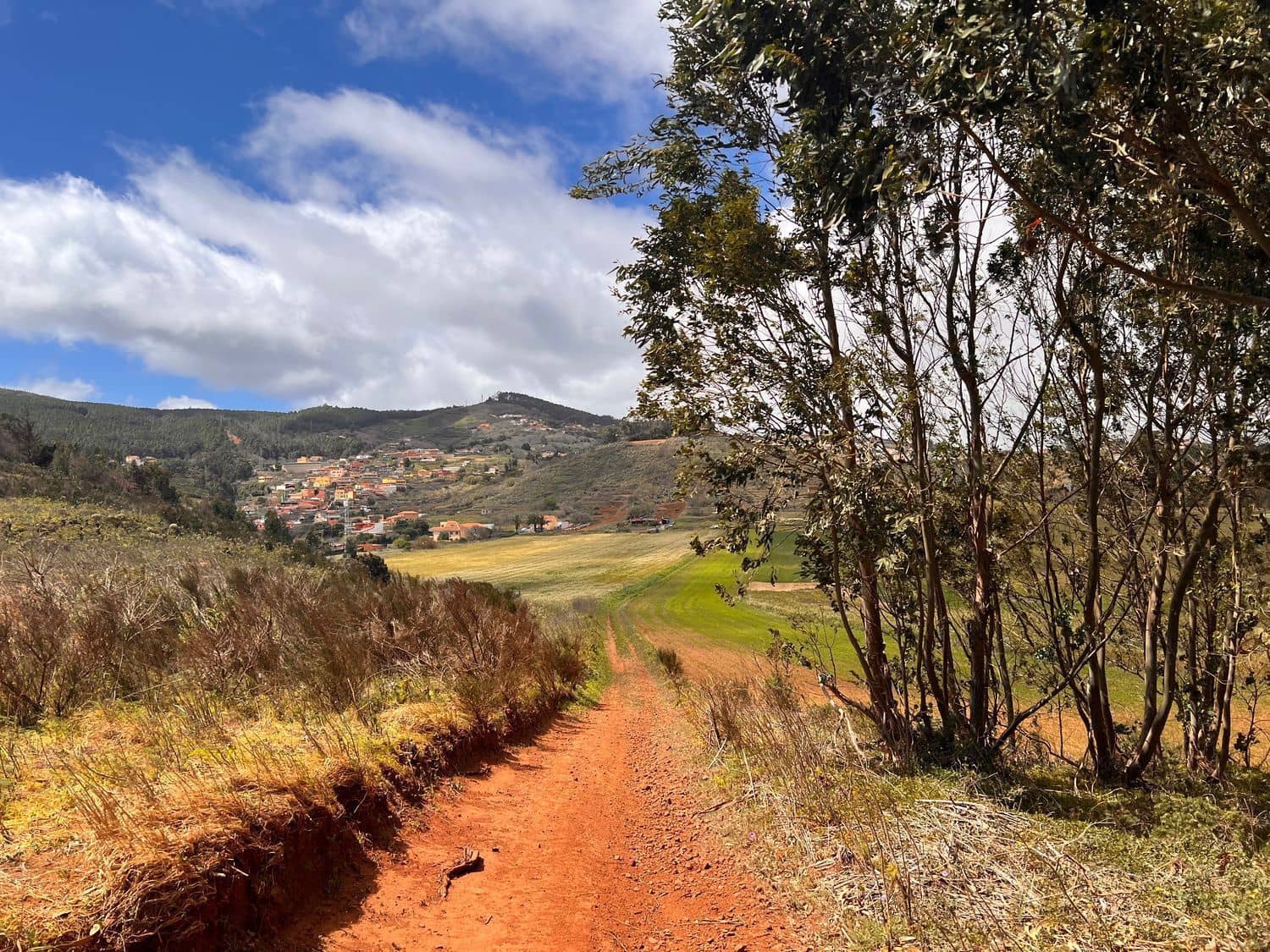 Undeveloped Land for sale in El Rosario - € 95,000 (Ref: 9482384)