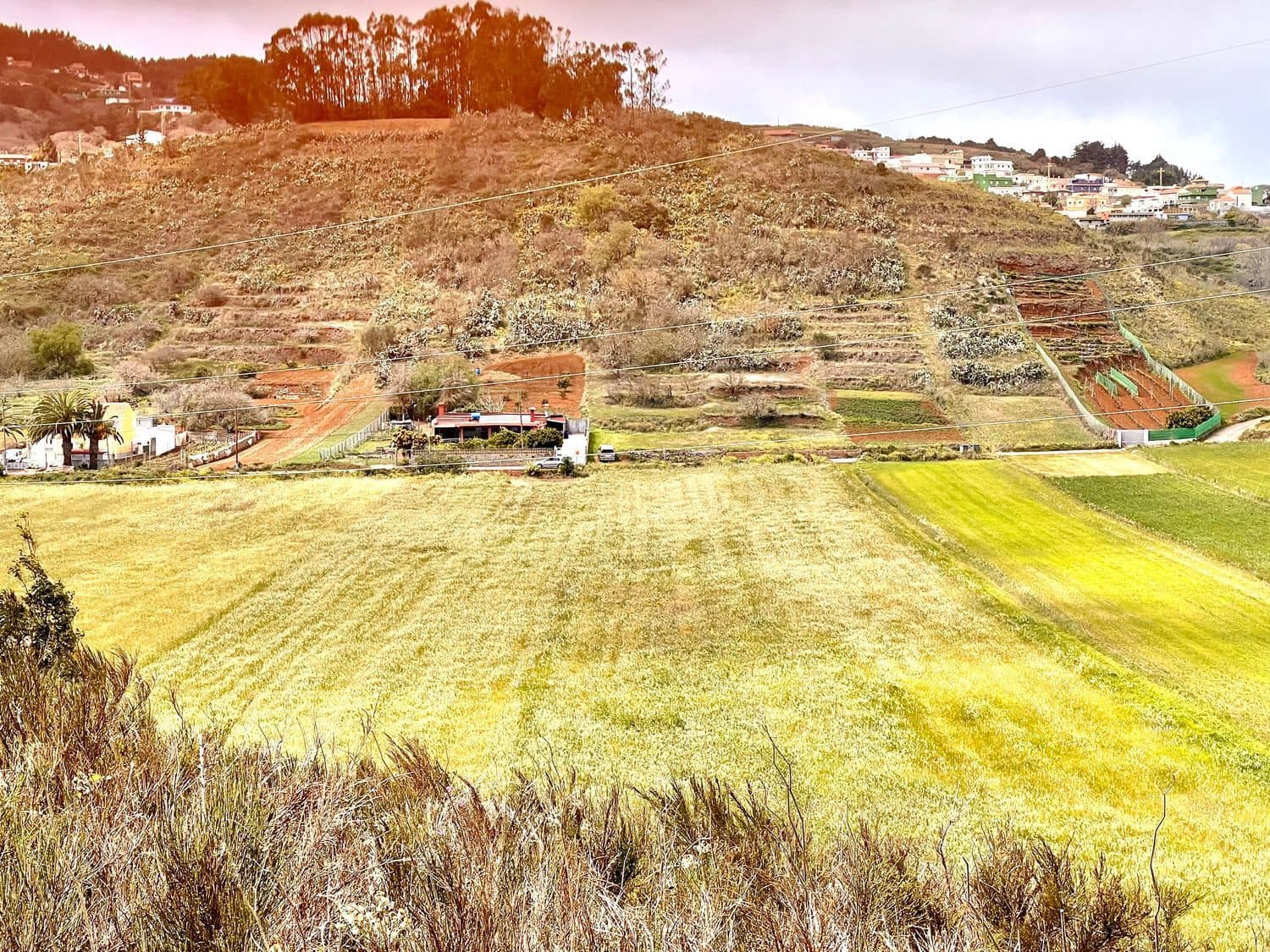 Undeveloped Land for sale in El Rosario - € 95,000 (Ref: 9482384)