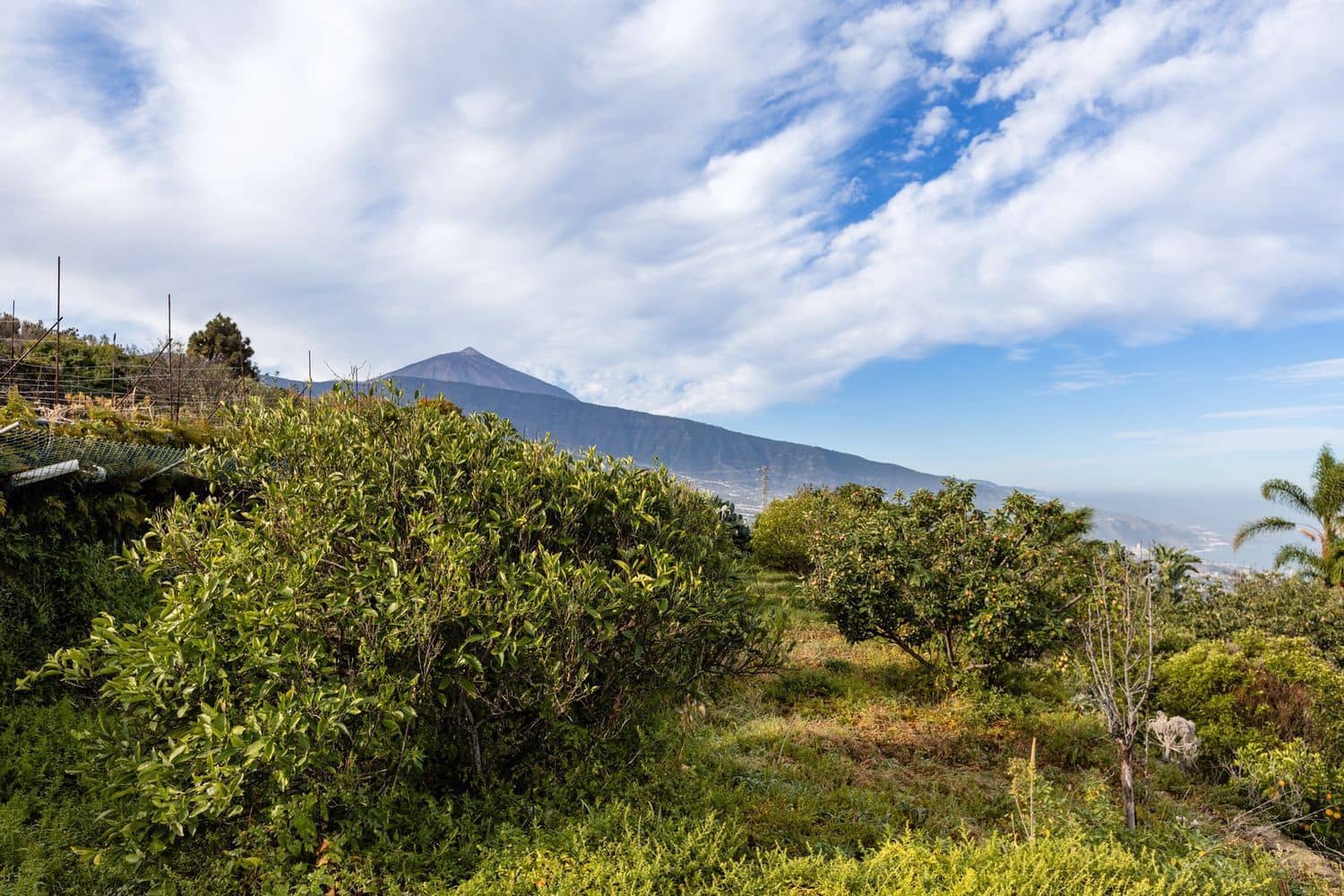 6 quarto Moradia para venda em Santa Ursula com piscina - 999 000 € (Ref: 9482385)