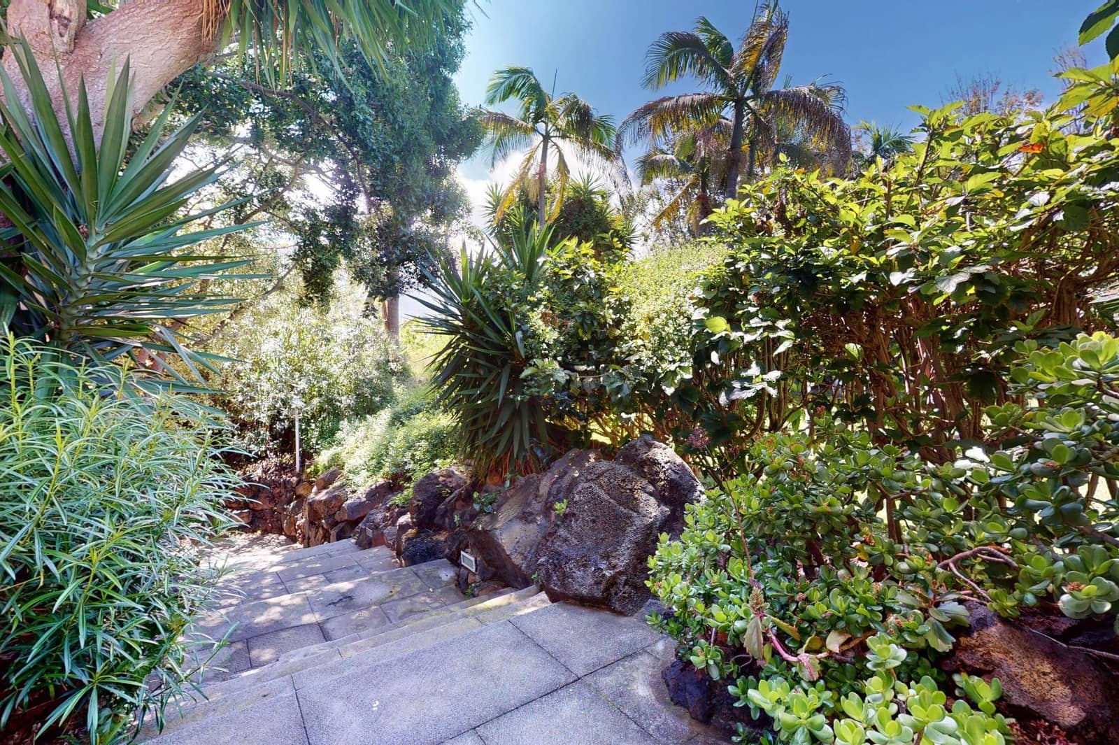 6 chambre Villa/Maison à vendre à Puerto de la Cruz avec piscine garage - 3 500 000 € (Ref: 9849553)